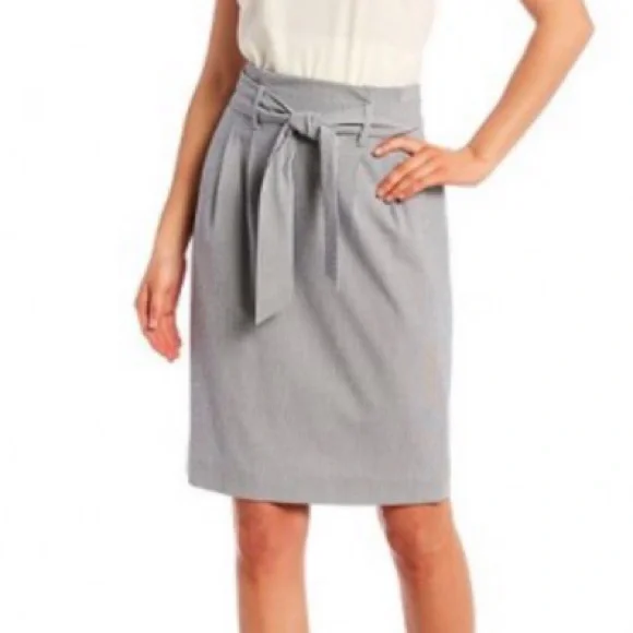 Alex Marie Skirts Alex Marie Malia Navy Blue Pinstripe